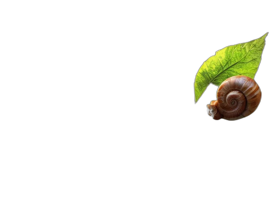 food, tree, animal, creature transparent PNG cut-out