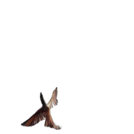 shoes, animal, dragon, creature transparent PNG cut-out