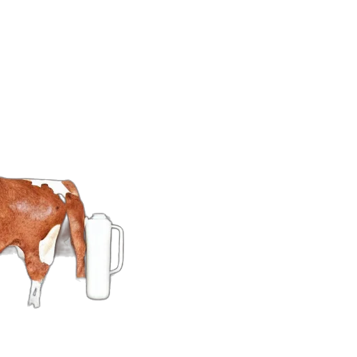 animal, furniture, bottle, food transparent PNG cut-out