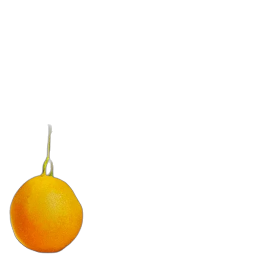 food, weapon, staff, jewelry transparent PNG cut-out