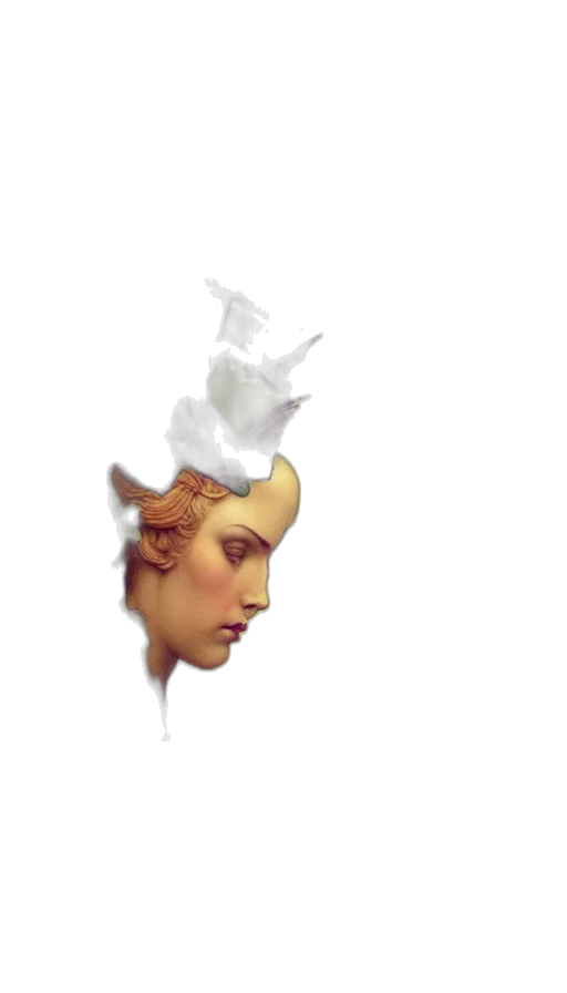 crown, hat, face, mask transparent PNG cut-out
