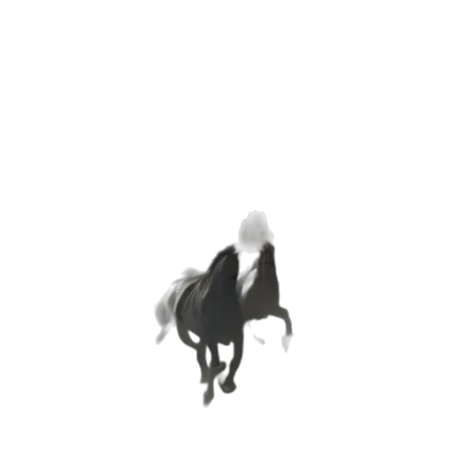 animal, creature, dragon, hat transparent PNG cut-out