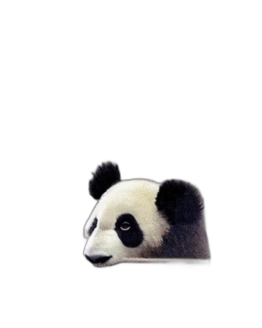 animal, hat, creature, staff transparent PNG cut-out