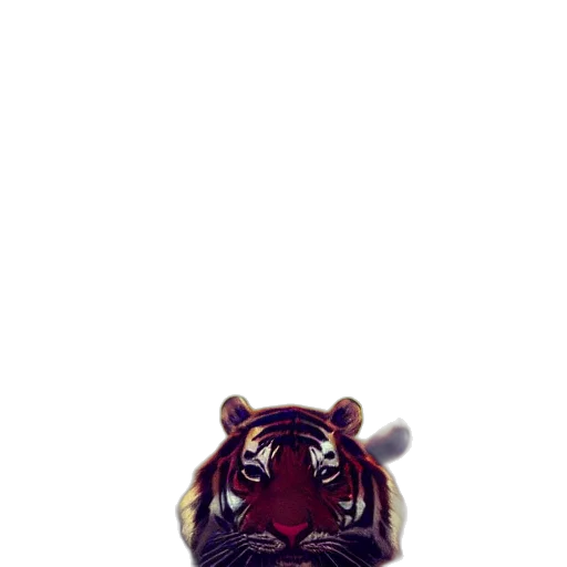 jewelry, animal, crown, creature transparent PNG cut-out