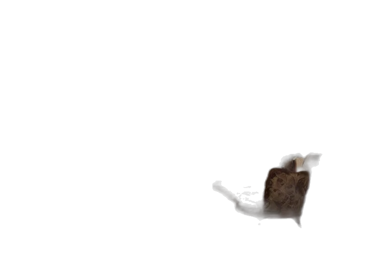 food, animal, staff, furniture transparent PNG cut-out