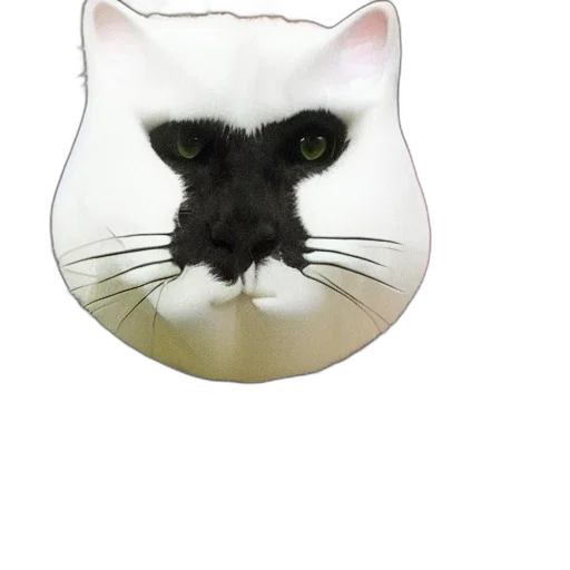mask, animal, face, hat transparent PNG cut-out