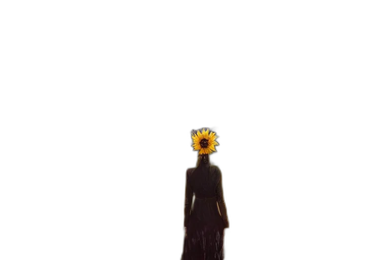 flower, mask, dress, crown transparent PNG cut-out