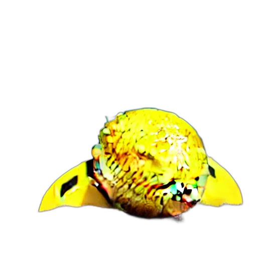 hat, crown, staff, mask transparent PNG cut-out
