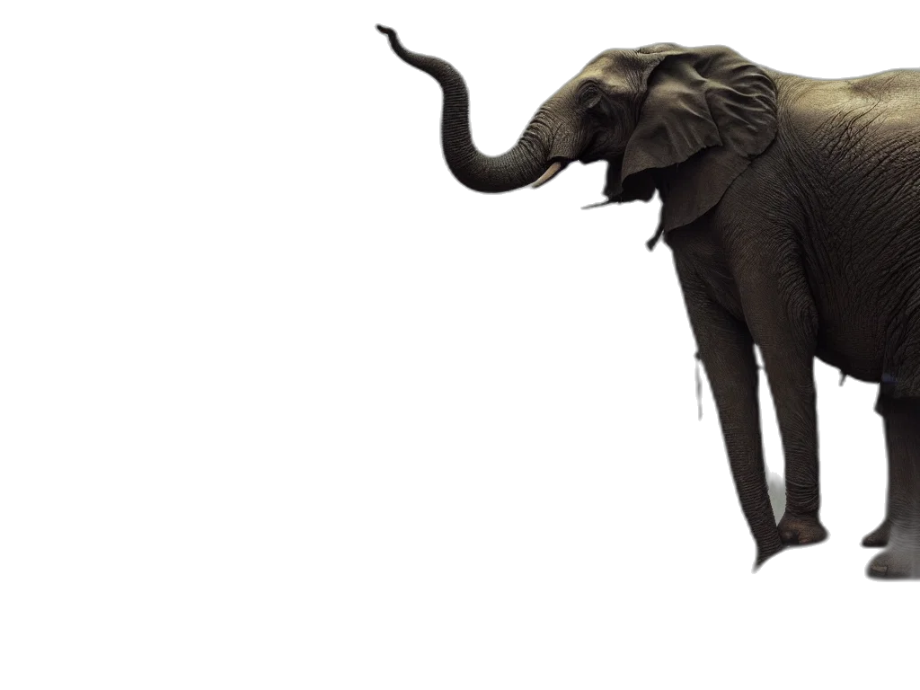 animal, creature, mask, staff transparent PNG cut-out