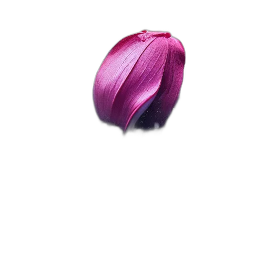 flower, jewelry, hair, crown transparent PNG cut-out