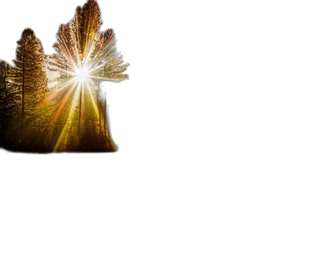 tree, crown, hair, sword transparent PNG cut-out