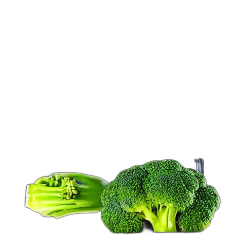 food, weapon, bottle, animal transparent PNG cut-out