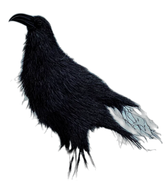 animal, staff, crown, hair transparent PNG cut-out