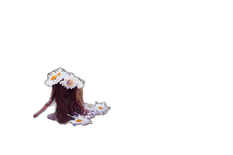hair, crown, dress, creature transparent PNG cut-out