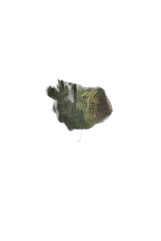 face, mask, tree, creature transparent PNG cut-out