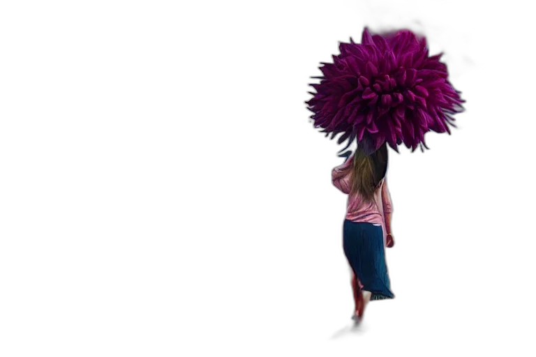 hair, umbrella, flower, hat transparent PNG cut-out