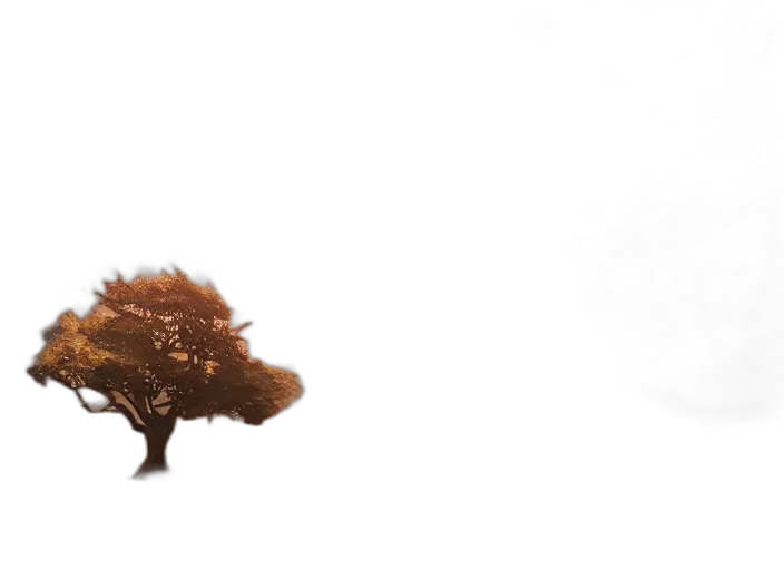 animal, hair, creature, hat transparent PNG cut-out