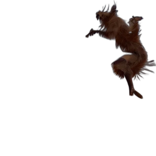 animal, creature, dragon, hair transparent PNG cut-out