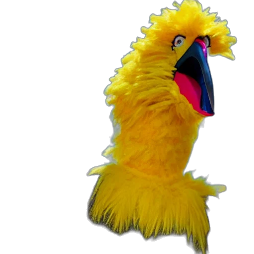 animal, staff, creature, hair transparent PNG cut-out