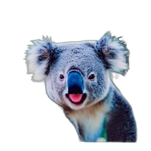animal, hat, creature, face transparent PNG cut-out