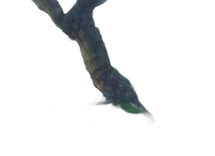 tree, dragon, staff, creature transparent PNG cut-out