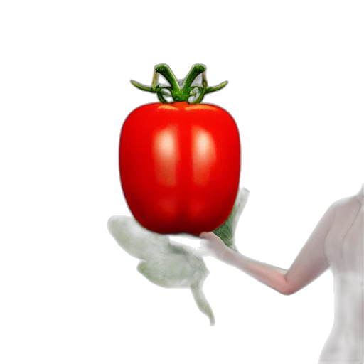food, creature, dress, staff transparent PNG cut-out