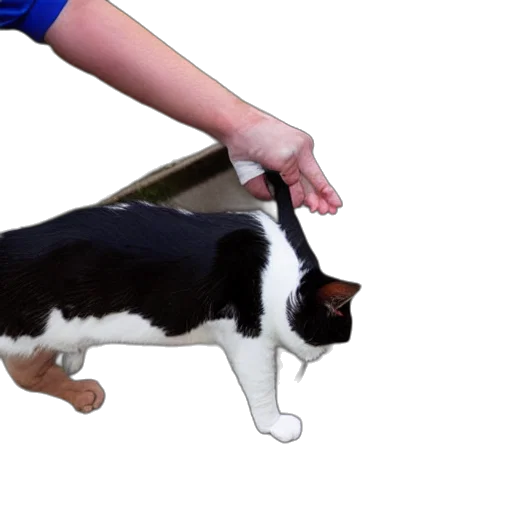 staff, animal, weapon, creature transparent PNG cut-out