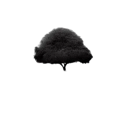 tree, hat, hair, crown transparent PNG cut-out