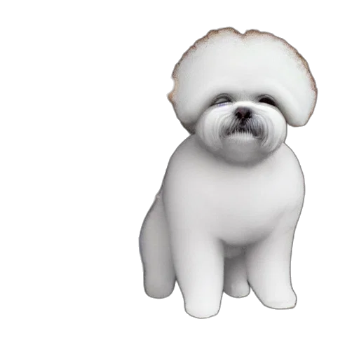 animal, creature, staff, face transparent PNG cut-out