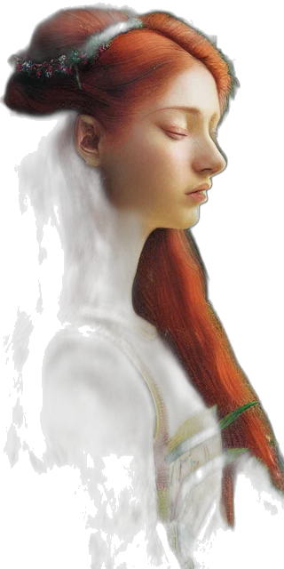 face, hair, staff, crown transparent PNG cut-out