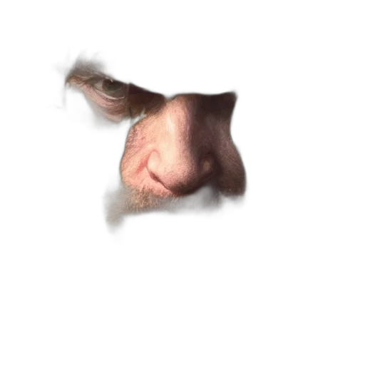 face, animal, creature, mask transparent PNG cut-out