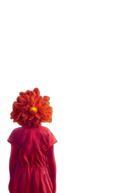 flower, dress, crown, hair transparent PNG cut-out