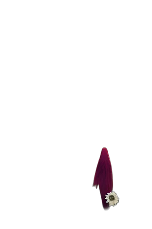staff, hair, hat, dress transparent PNG cut-out