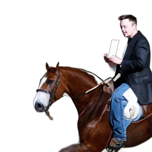 animal, elon, musk, riding transparent PNG cut-out