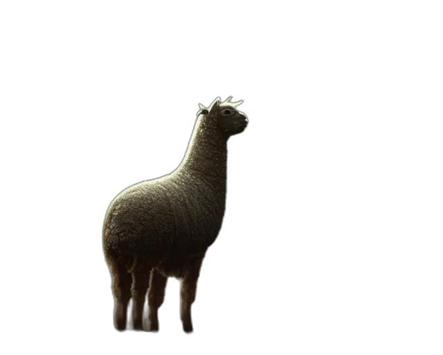 animal, creature, dress, staff transparent PNG cut-out