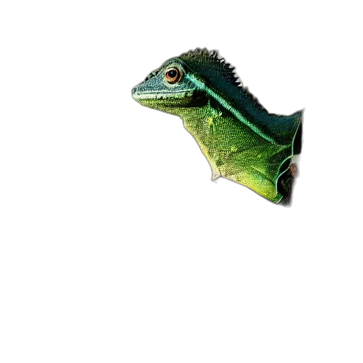 dragon, animal, creature, staff transparent PNG cut-out