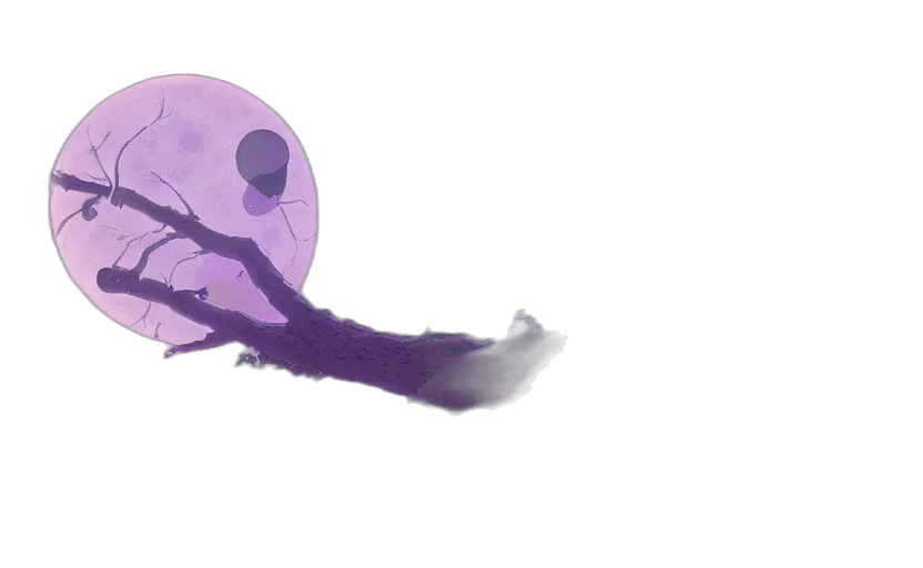 creature, mask, weapon, dragon transparent PNG cut-out
