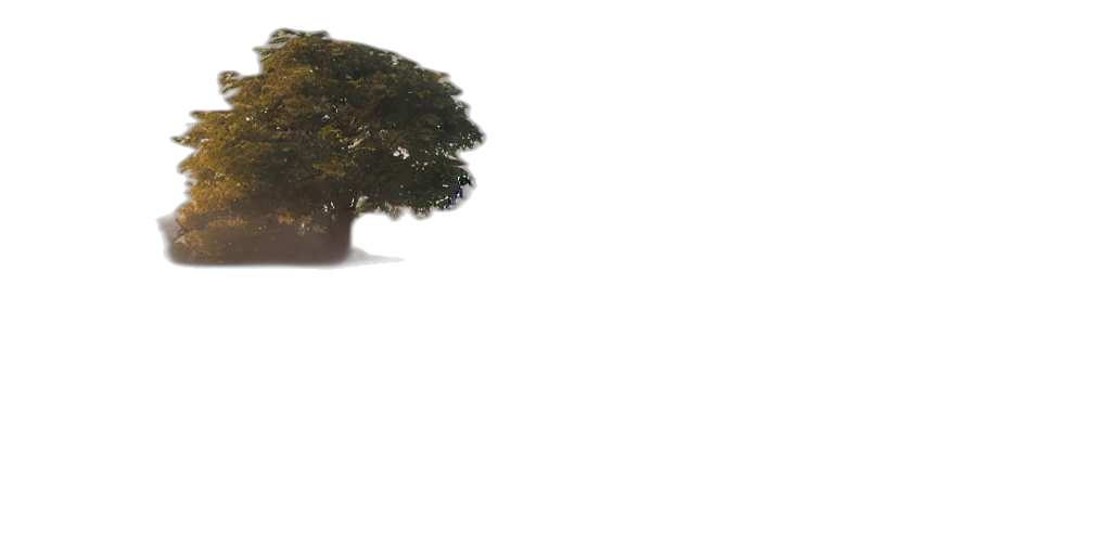 tree, crown, animal, creature transparent PNG cut-out