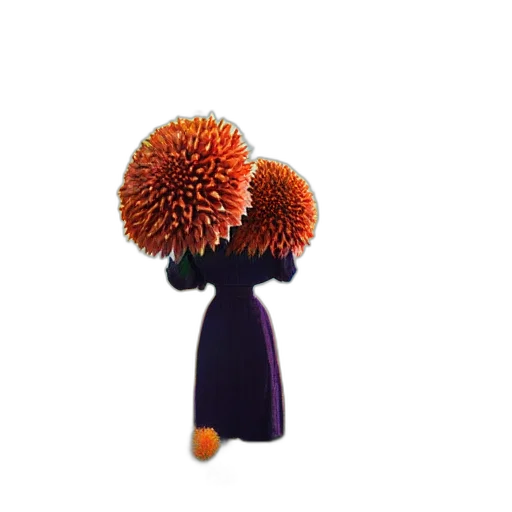 staff, flower, hat, hair transparent PNG cut-out