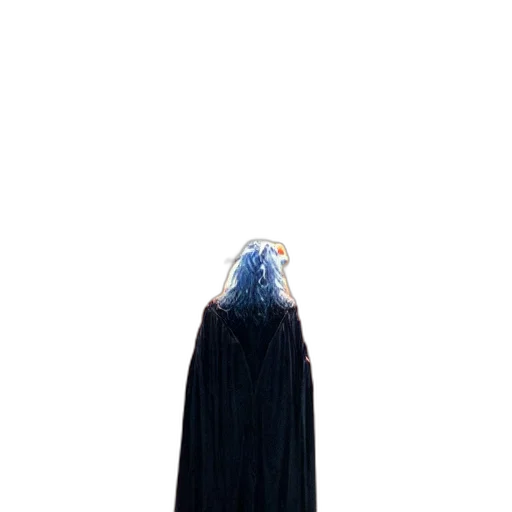 dress, jacket, crown, creature transparent PNG cut-out