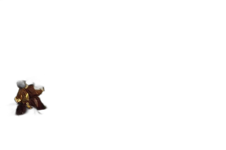 staff, hat, shoes, weapon transparent PNG cut-out