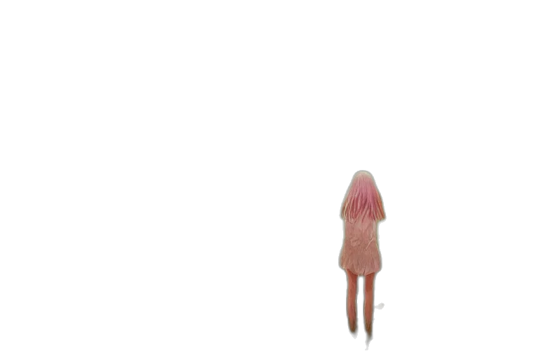 hair, dress, creature, robot transparent PNG cut-out