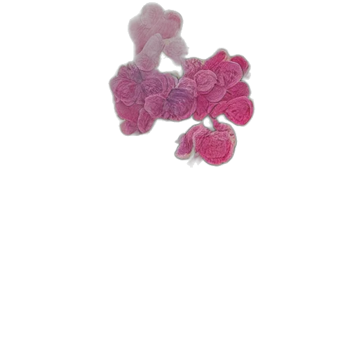 jewelry, flower, crown, staff transparent PNG cut-out