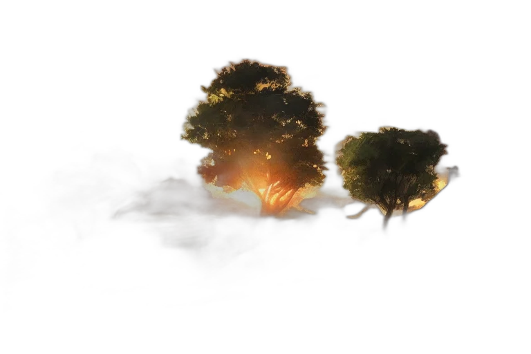 tree, crown, 3d render, photorealistic transparent PNG cut-out