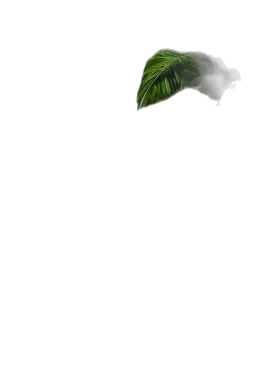 dragon, hat, creature, mask transparent PNG cut-out