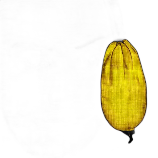 bottle, hair, food, flower transparent PNG cut-out