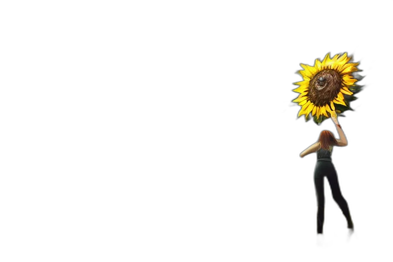 flower, staff, umbrella, crown transparent PNG cut-out