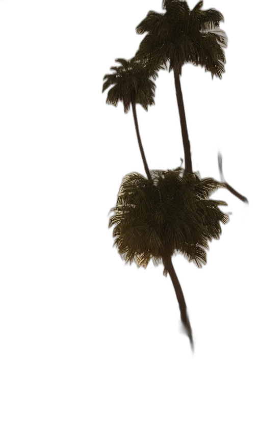 hair, crown, hat, flower transparent PNG cut-out