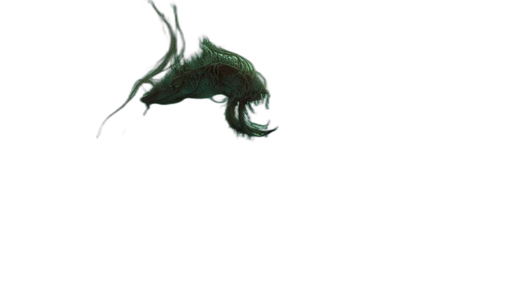 dragon, creature, animal, hair transparent PNG cut-out