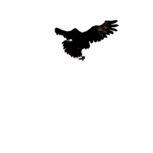 animal, creature, dragon, crown transparent PNG cut-out